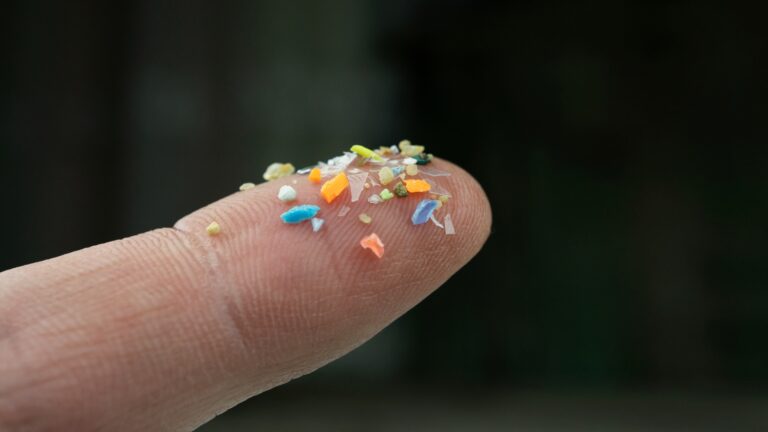 Mikroplastik in Kosmetik: Folgen für Haut & Umwelt
