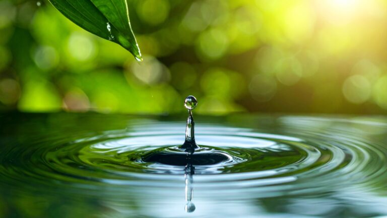 Wassertropfen über einer Wasseroberfläche mit kreisförmigen Wellen, darüber ein grünes Blatt im Sonnenlicht.